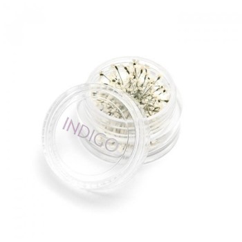 Fiori Secchi Bianchi